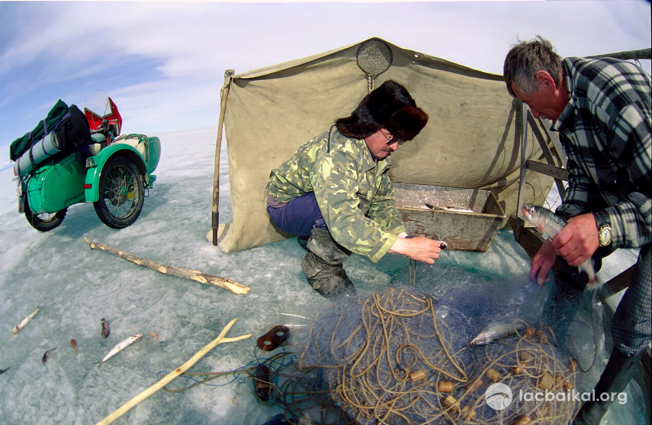 La pêche blanche à l'Omoul